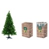 Albero Faster Pine Cm150