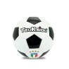 PALLONE PVC CALCIO T.5