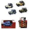 AUTO 1:64 FUORI STRADA SAVANA